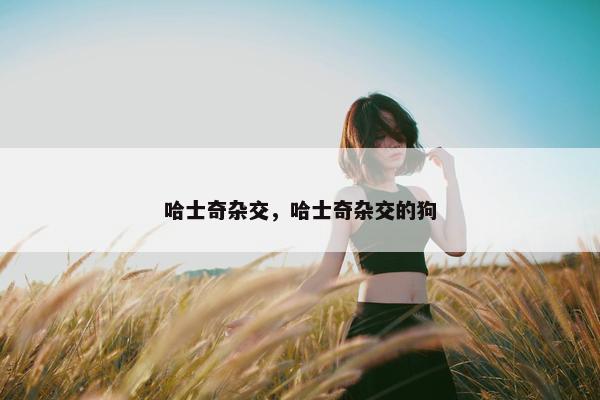 哈士奇杂交，哈士奇杂交的狗