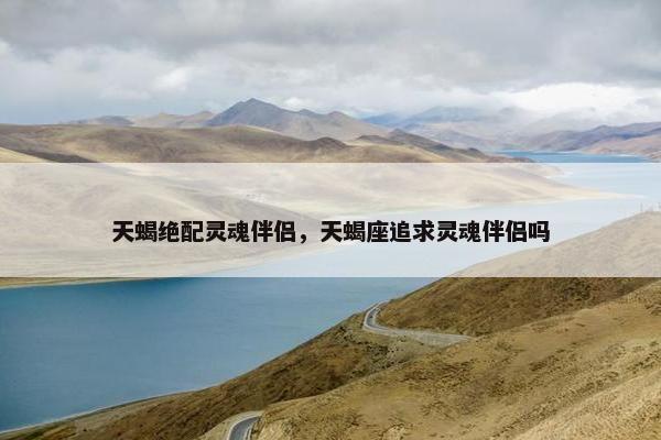 天蝎绝配灵魂伴侣，天蝎座追求灵魂伴侣吗