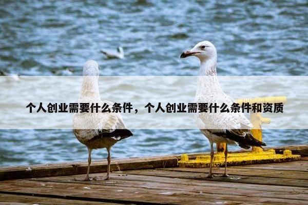个人创业需要什么条件，个人创业需要什么条件和资质