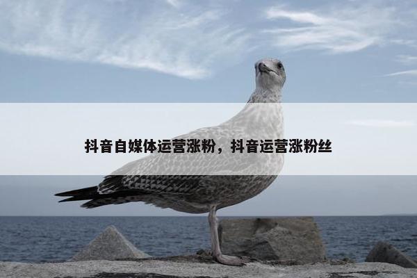 抖音自媒体运营涨粉，抖音运营涨粉丝
