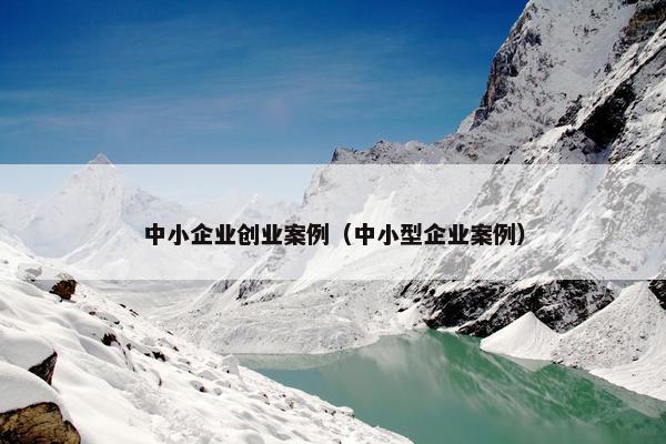 中小企业创业案例（中小型企业案例）