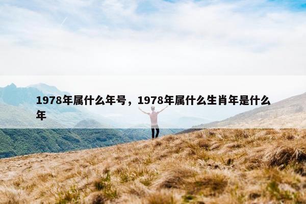 1978年属什么年号，1978年属什么生肖年是什么年