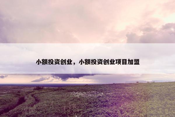 小额投资创业，小额投资创业项目加盟