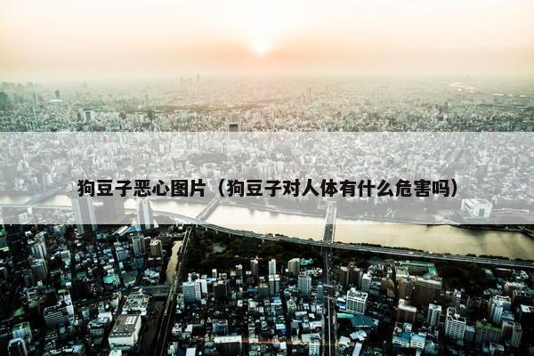 狗豆子恶心图片（狗豆子对人体有什么危害吗）