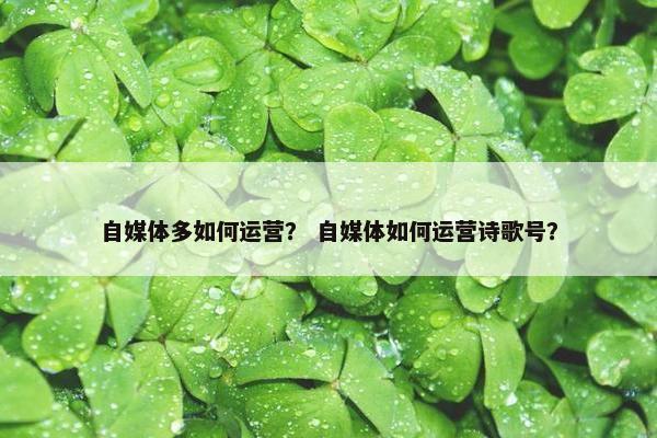 自媒体多如何运营？ 自媒体如何运营诗歌号？