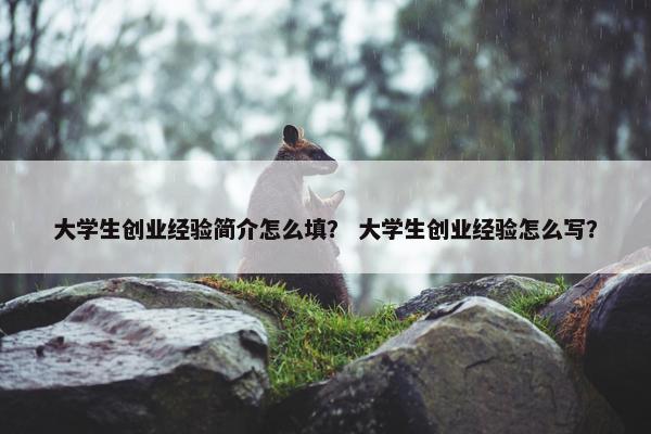 大学生创业经验简介怎么填？ 大学生创业经验怎么写？