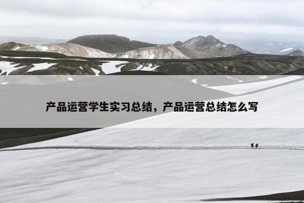 产品运营学生实习总结，产品运营总结怎么写