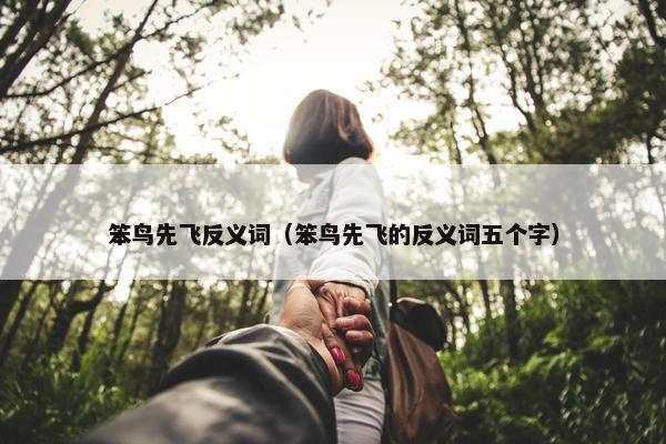 笨鸟先飞反义词（笨鸟先飞的反义词五个字）