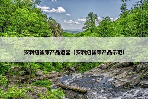 安利纽崔莱产品运营（安利纽崔莱产品示范）