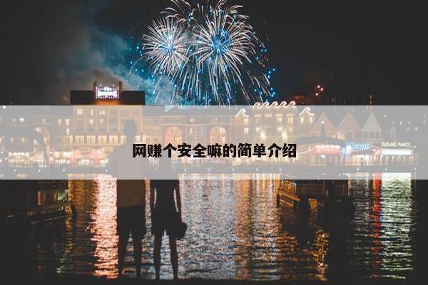 网赚个安全嘛的简单介绍