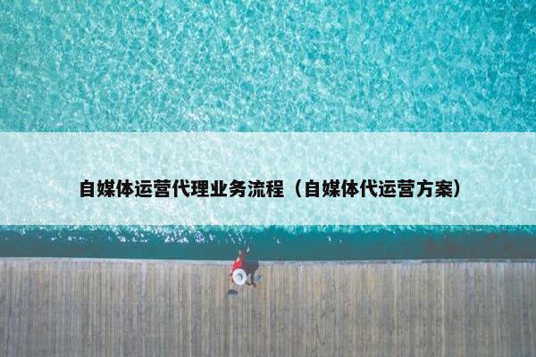 自媒体运营代理业务流程（自媒体代运营方案）