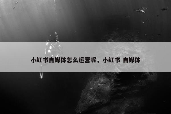 小红书自媒体怎么运营呢，小红书 自媒体
