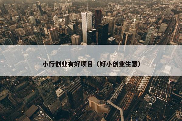 小行创业有好项目（好小创业生意）