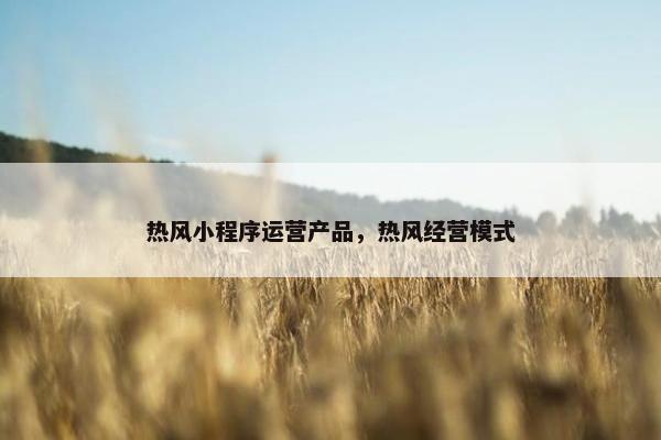 热风小程序运营产品，热风经营模式