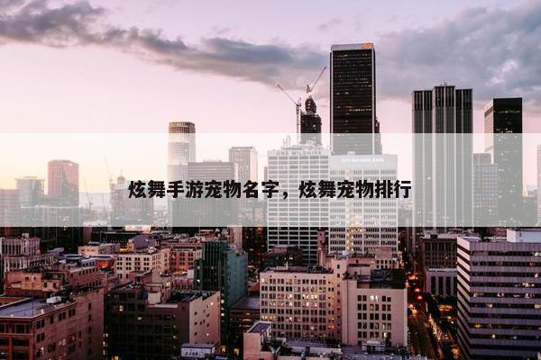 炫舞手游宠物名字，炫舞宠物排行