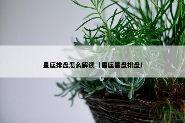 星座排盘怎么解读（星座星盘排盘）