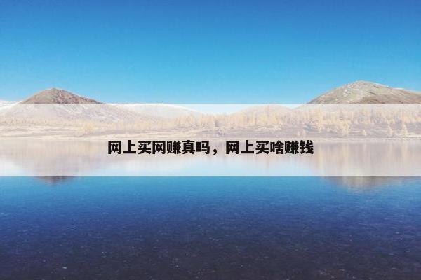 网上买网赚真吗，网上买啥赚钱