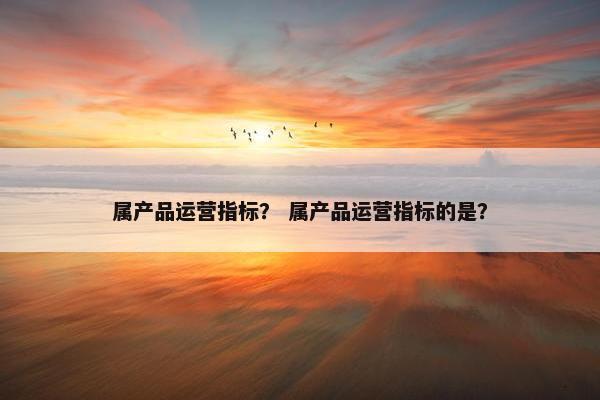 属产品运营指标？ 属产品运营指标的是？