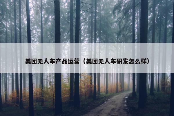 美团无人车产品运营（美团无人车研发怎么样）