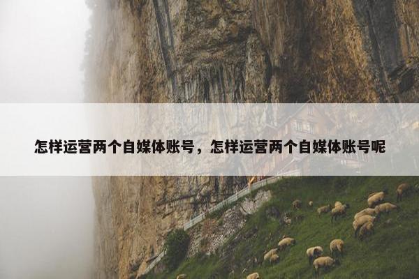 怎样运营两个自媒体账号，怎样运营两个自媒体账号呢