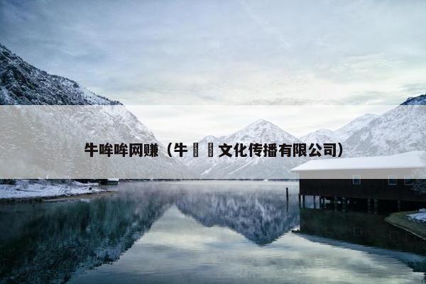 牛哞哞网赚（牛犇犇文化传播有限公司）