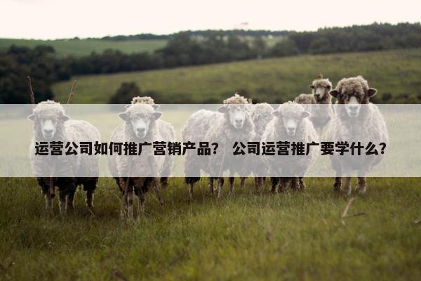 运营公司如何推广营销产品？ 公司运营推广要学什么？