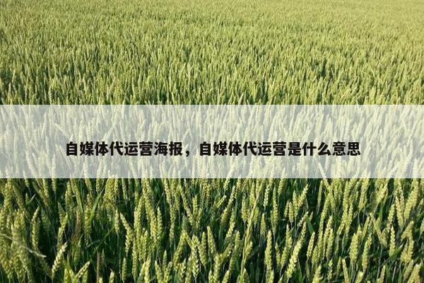 自媒体代运营海报，自媒体代运营是什么意思