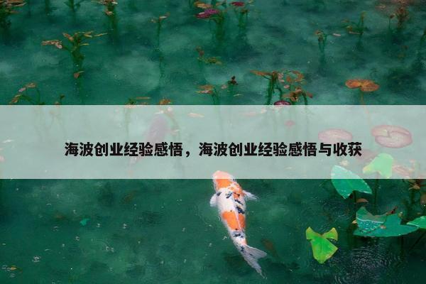 海波创业经验感悟，海波创业经验感悟与收获
