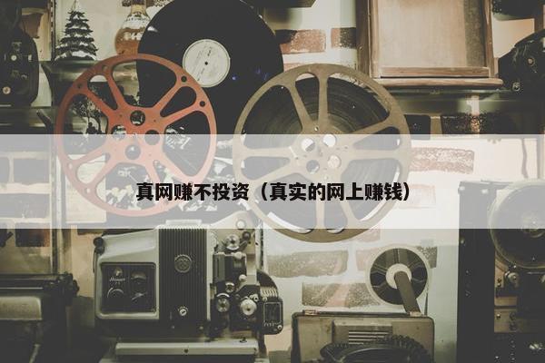 真网赚不投资（真实的网上赚钱）