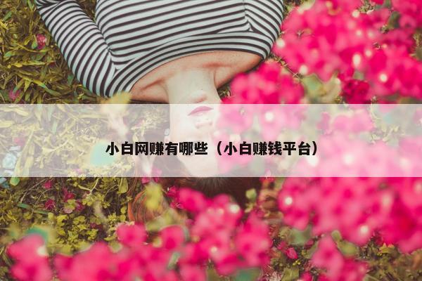 小白网赚有哪些（小白赚钱平台）