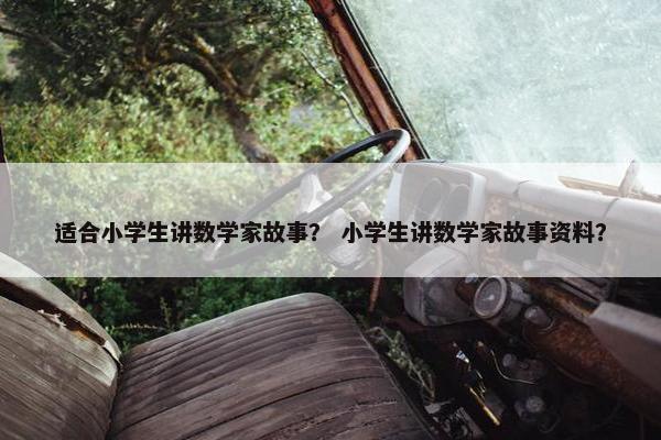 适合小学生讲数学家故事？ 小学生讲数学家故事资料？
