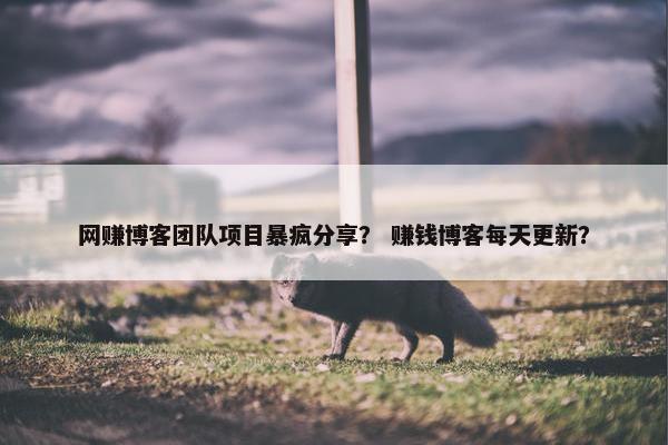 网赚博客团队项目暴疯分享？ 赚钱博客每天更新？