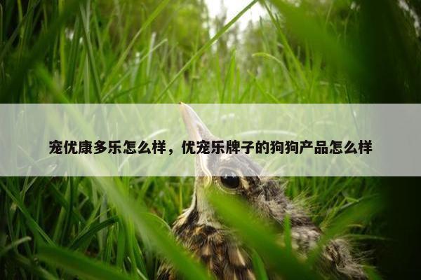 宠优康多乐怎么样，优宠乐牌子的狗狗产品怎么样