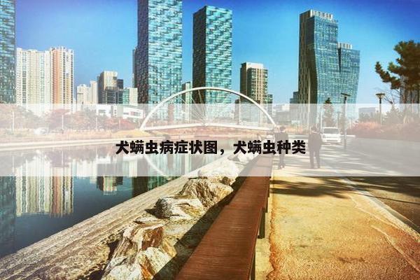犬螨虫病症状图，犬螨虫种类