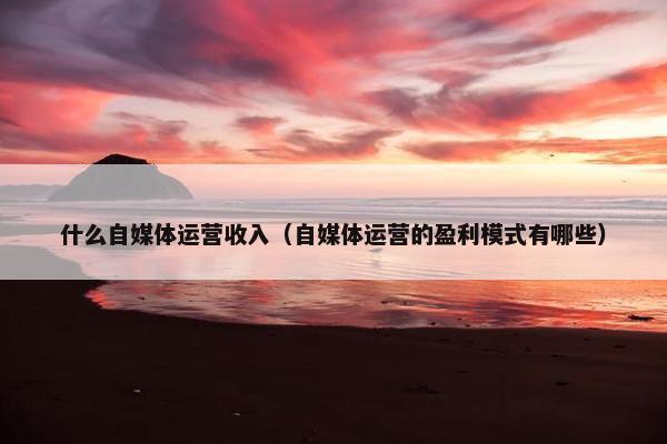 什么自媒体运营收入（自媒体运营的盈利模式有哪些）