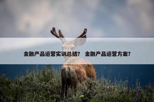 金融产品运营实训总结？ 金融产品运营方案？