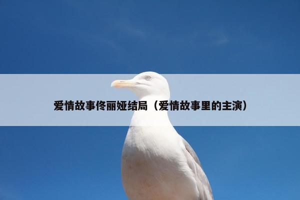 爱情故事佟丽娅结局（爱情故事里的主演）