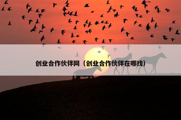 创业合作伙伴网（创业合作伙伴在哪找）