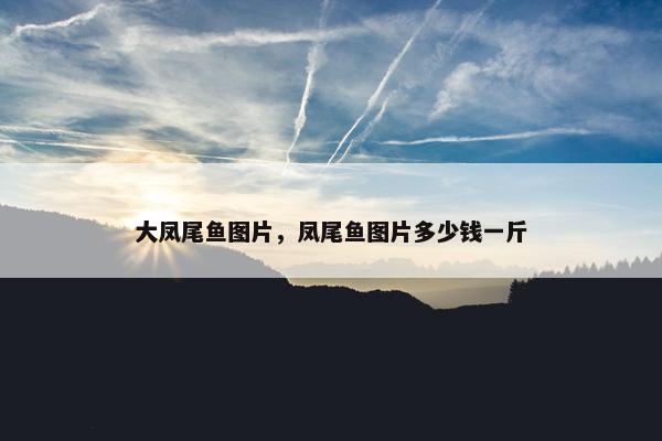 大凤尾鱼图片，凤尾鱼图片多少钱一斤