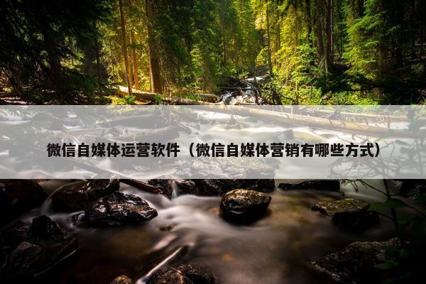微信自媒体运营软件（微信自媒体营销有哪些方式）