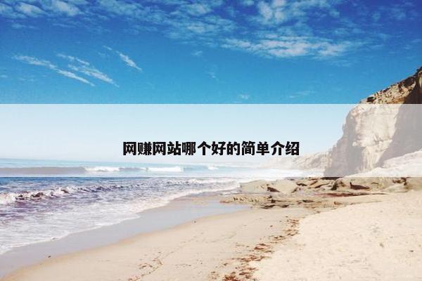 网赚网站哪个好的简单介绍