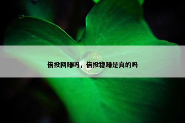 倍投网赚吗，倍投稳赚是真的吗