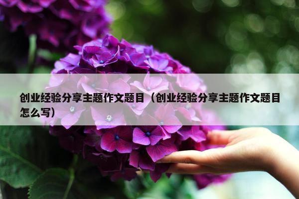 创业经验分享主题作文题目（创业经验分享主题作文题目怎么写）