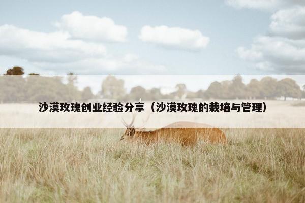 沙漠玫瑰创业经验分享（沙漠玫瑰的栽培与管理）