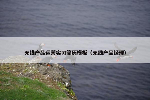 无线产品运营实习简历模板（无线产品经理）