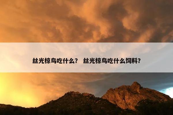 丝光椋鸟吃什么？ 丝光椋鸟吃什么饲料？