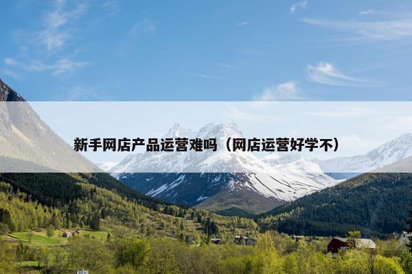 新手网店产品运营难吗（网店运营好学不）