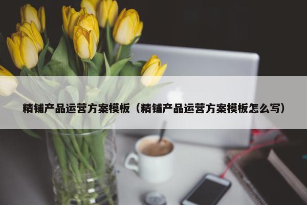 精铺产品运营方案模板（精铺产品运营方案模板怎么写）
