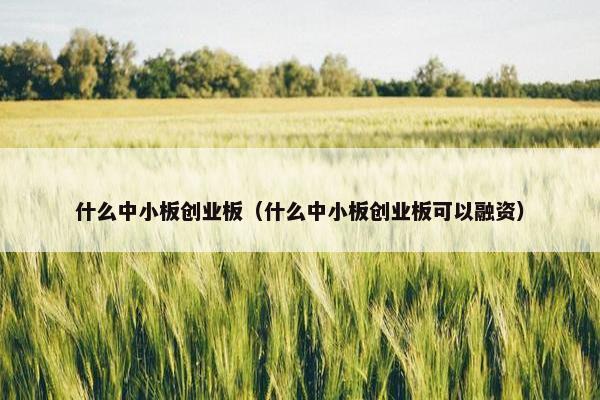 什么中小板创业板（什么中小板创业板可以融资）