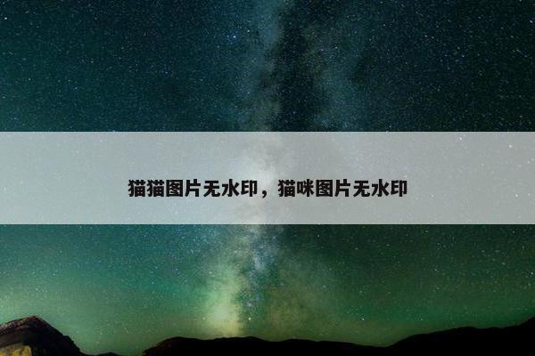 猫猫图片无水印，猫咪图片无水印